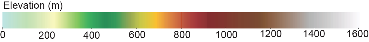Scale Bar